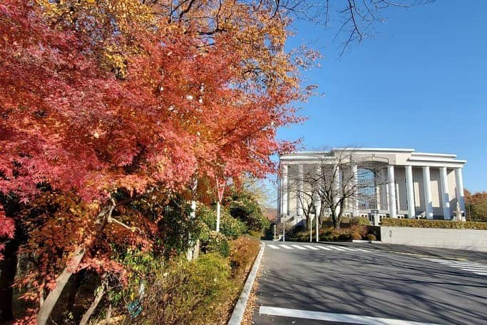 Soka Universityさんのインスタグラム写真 - (Soka UniversityInstagram)「Campus Seasonal Photos December ④ 丹木の歳時記　師走④ #discoversoka #sodaigram #sokauniversity #hachioji #tokyo #japan #campus #university #students #december #winter #nature #color #environment #beautiful #創価大学 #八王子 #東京 #キャンパス #大学 #学生 #師走 #12月 #冬 #自然 #色 #環境」12月18日 11時24分 - sokauniversity