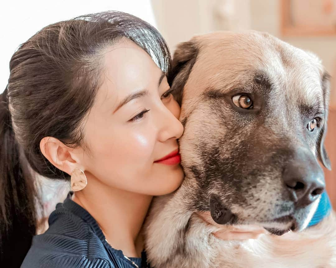 吉松育美さんのインスタグラム写真 - (吉松育美Instagram)「. We have a special bond.✨ . 👩❤🐶 . Do you have an animal that you've bonded with??✨ . バディーさんとの絆は深～い❤💚💜💙💛いつもありがと✨ . 動物と人間の絆って不思議ですよね✨バディーは朝私が起きるといつもお腹を上にして手をビーンと伸ばしてオハヨー言ってくれます(笑) . 皆さんも絆の深いペットはいますかー??❤🐶😺🐰🐢🐦 . . . . #bigdoglover #bigdoglife #kangals #kangallife #anatolianshepard #anatoliansheparddog #大型犬のいる暮らし #大型犬好き #大型犬と暮らす #ワンちゃんと一緒 #カンガル犬 #Japanesemodels #asianmodels #femaleasianmodel #beautyqueenseries #beautyqueen4ever #beautyqueenstyle #Missinternational #MissJapan  #海外在住日本人 #ミスインターナショナル #ペット#絆」12月18日 11時48分 - ikumiyoshimatsu