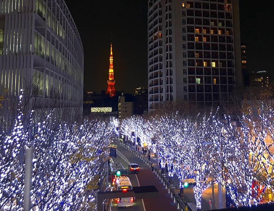のインスタグラム：「#20191217  行ってみたかったところ 🎅🏼🎄🌟🌟💚❤️ #けやき坂イルミネーション  #クリスマスマーケット  #六本木ヒルズ」