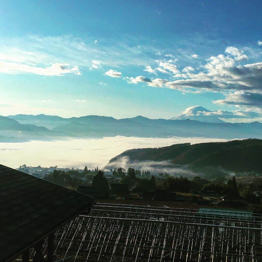 ふじさん冷蔵のグルメインスタ