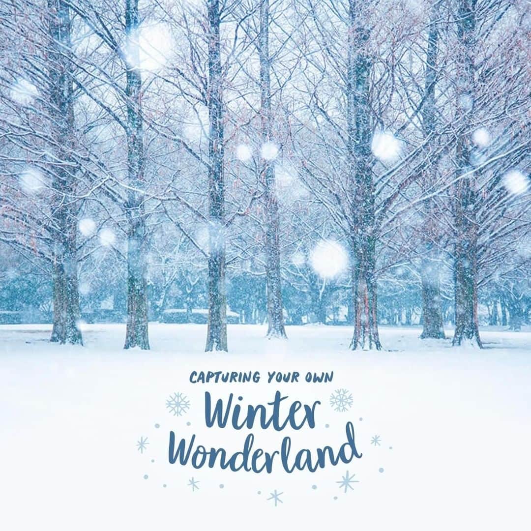 Canon Asiaのインスタグラム：「Looking to change up the usual white wintry ❄️ scenes? Capture your ideal winter landscapes by playing with shadows 👤, utilising the contrast between stillness and movement or creating bokeh from falling snow 🌨️ for an interesting twist. ⁣ ⁣Find out more about these fun photography techniques to use in your next winterscape adventure ☃️, link in bio! ⁣ ⁣#canonasia #photography #winter #winterphotography #snow #snowphotography #shadows #bokeh」