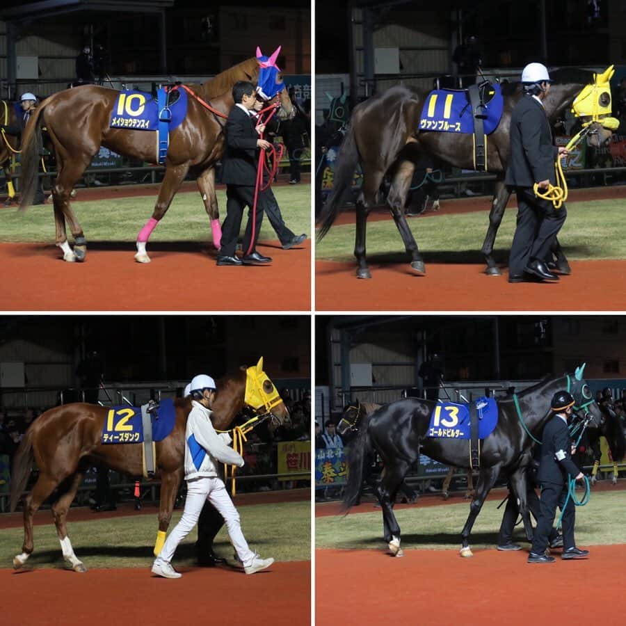 津田麻莉奈さんのインスタグラム写真 - (津田麻莉奈Instagram)「第70回全日本2歳優駿🏇✨ ゴール前アイオライトをアタマ差とらえて勝ったのは 生え抜きの川崎所属馬、ヴァケーションでした‼️ 関係者の皆様おめでとうございます☺️🎉✨ ⁑ 馬と相談して…としつつも、高月調教師からは 「ケンタッキーへ行きたい」という言葉も…！ ますます今後の夢が広がる勝利でした🏇 ⁑ それにしても鞍上の吉原寛人騎手の計ったような差し切り勝ち、見事でした。 今年は南部杯に続いてJpnIを2勝。 先週はクレイジーアクセルでクイーン賞も勝って、 まさに無双状態な新婚吉原騎手です👏😘💍✨ ⁑ ⁑ #今日は #とある取材で #開門前の13時から川崎に #8時間も川崎競馬で過ごしてもうた #1レースから馬券買ってもうた #ひとつも当たらへんかった #交流重賞の吉原寛人騎手は絶対買わなあかんやつ #今日はちょっと逆らってしまった　 #すみませんでした  #しかし#なんぼほど勝つねん #勝ちすぎやでほんま　 #おめでとうございます #祝勝会せないかん　 #roadtokentucky  #ケンタッキーダービー #全日本2歳優駿 #川崎#川崎競馬 #スパーキングナイター　 #地方競馬#競馬 #ヴァケーション #津田カメラ　 #まりなる#津田麻莉奈」12月18日 22時54分 - tsudamarinal