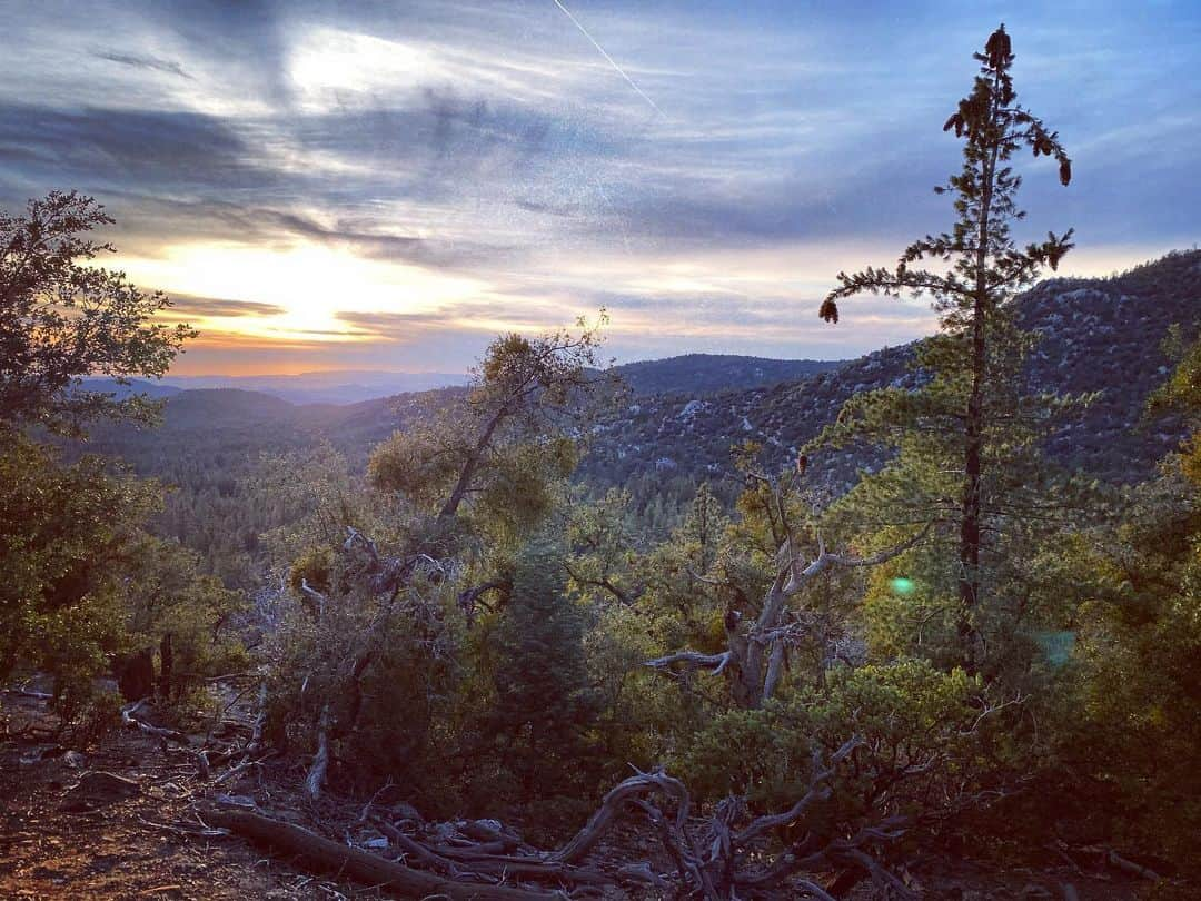 トローヤン・ベリサリオさんのインスタグラム写真 - (トローヤン・ベリサリオInstagram)「“Nature is ever at work building and pulling down, creating and destroying, keeping everything whirling and flowing, allowing no rest but in rhythmical motion, chasing everything in endless song out of one beautiful form into another.” – John Muir」12月18日 15時14分 - sleepinthegardn