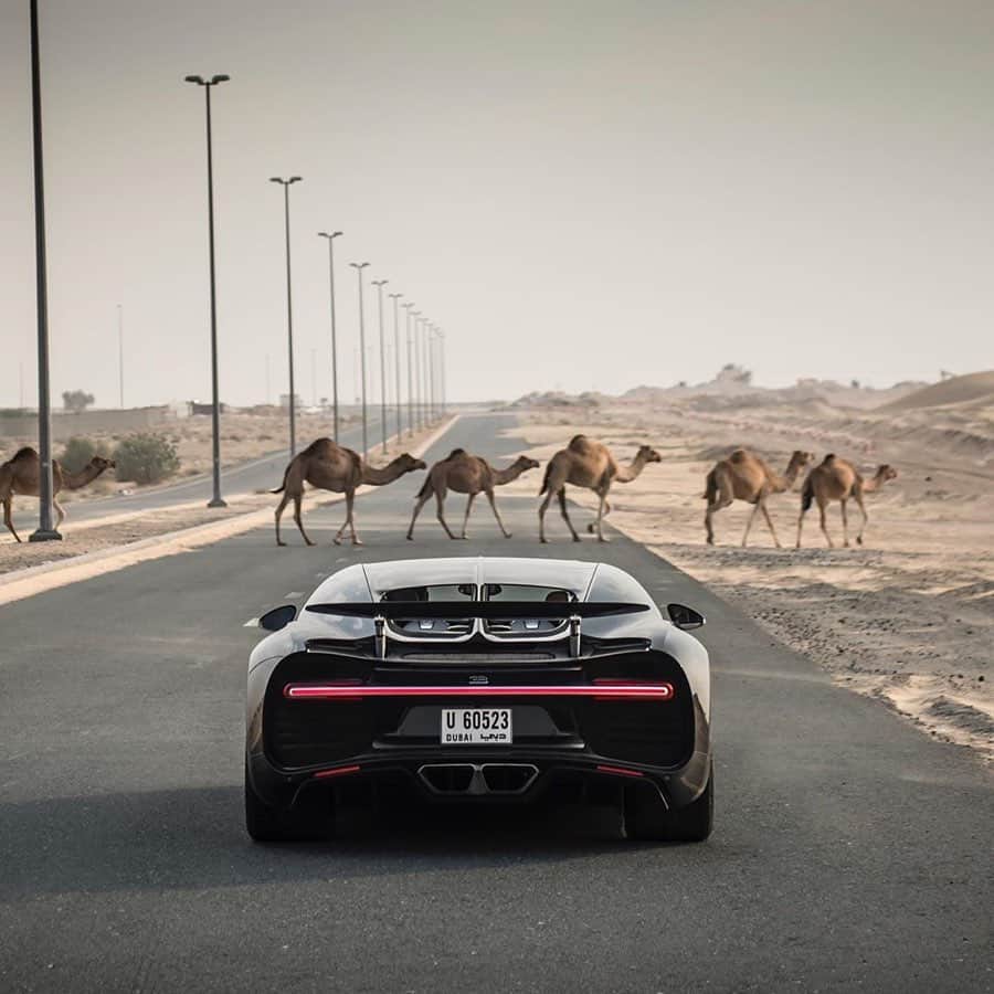CARLiFESTYLEさんのインスタグラム写真 - (CARLiFESTYLEInstagram)「What would you do? 🤔 Photo @gfwilliams #carlifestyle #chiron #bugatti」12月18日 15時23分 - carlifestyle