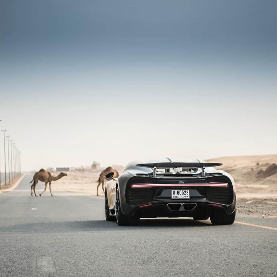 CARLiFESTYLEさんのインスタグラム写真 - (CARLiFESTYLEInstagram)「What would you do? 🤔 Photo @gfwilliams #carlifestyle #chiron #bugatti」12月18日 15時23分 - carlifestyle