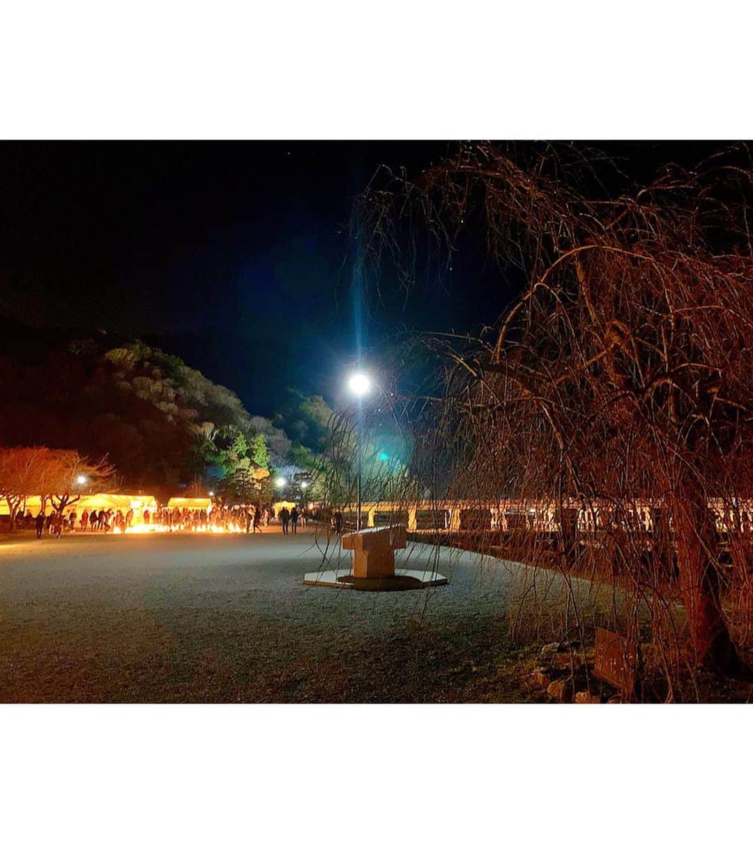 百合華さんのインスタグラム写真 - (百合華Instagram)「期間限定で開催されている『京都・嵐山花灯路2019』へ、愛蘭たんと一緒にお散歩がてら観に行って来ました🎶﻿ ﻿ 渡月橋や山々までもが美しくライトアップされていて、手作りの可愛い灯籠達が夜道を照らしてくれておりました✨﻿ ﻿ すんごく寒かったけど偶然発見した屋台でベビーカステラ買ったり、ふらっとカフェに入って抹茶オレ飲んでほっこりしたりしてなんだか楽しかったな🥰﻿ ﻿ 愛蘭たんもとっても楽しそうでした❤️﻿ ﻿ #京都﻿ #嵐山﻿ #嵐山花灯路﻿ #花灯路﻿ #手作り﻿ #灯籠 #灯篭﻿ #柄﻿ #デザイン﻿ #ベストナイン﻿ #ベスト9﻿ #bestnine ﻿ #ライトアップ ﻿ #japan ﻿ #kyoto﻿ #japantravel ﻿ #japantrip ﻿ #屋台﻿ #ベビーカステラ﻿ #カフェ﻿ #抹茶オレ﻿ #ほっこり﻿ #楽しい﻿ #お散歩﻿ #夜のお散歩﻿ #愛犬﻿ #愛犬家﻿ #楽しそう」12月18日 15時49分 - yurika.lovelily