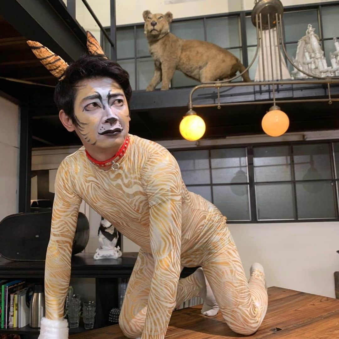 橋本直さんのインスタグラム写真 - (橋本直Instagram)「ウナギイヌならぬウナギネコ。 自分の事を虎やと思ってる猫。」12月18日 16時17分 - kome_kome_kome0927