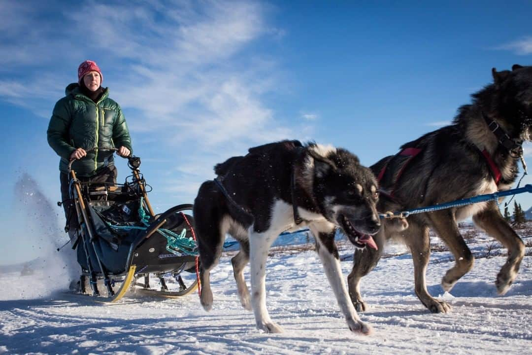 ナショナルジオグラフィックさんのインスタグラム写真 - (ナショナルジオグラフィックInstagram)「Photo by @katieorlinsky | Kristin Knight Pace trains with her sled-dog team in the foothills of Denali National Park. Kristen is a professional dog musher, park ranger, published author, and mother of two. She runs Hey Moose! Kennel, a competitive sled-dog racing kennel, together with her husband Andy Pace in Healy, Alaska. The pair have completed numerous 1,000 mile-sled races across the Alaskan and Canadian wilderness, considered to be some of the toughest endurance competitions in the world. I first met Kristen in the summer of 2014, and we have been friends ever since.」12月18日 16時39分 - natgeo