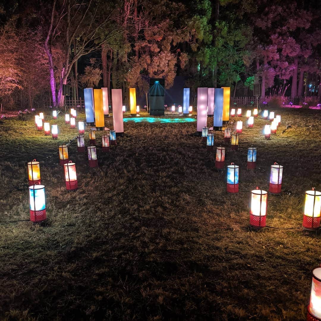 City of Kyoto Official Accountのインスタグラム：「12/13から京都・嵐山花灯路-2019が開催。今年は新企画「歌詠みの杜」が長神の杜に登場。嵯峨・嵐山地域とゆかりの深い小倉百人一首で詠まれている季節の和歌をテーマに、「音」「光」「映像」「香り」が生み出す幻想的な空間を体験できます。 詳細はコチラ　https://ja.kyoto.travel/event/single.php?event_id=2911  For English: “Kyoto Arashiyama Hanatouro 2019 – The Pathway of Blossoms and Light”  Dates: December 13 (Fri) – 22 (Sun), 2019 Illumination Hours: 5:00pm - 8:30pm Location: Saga-Arashiyama Area For more information: https://kyoto.travel/en/latest_news2/181  #京都 #京都ジェニック  #未来に残したい京都 #京都好きな人と繋がりたい #嵐山花灯路2019 #ライトアップ #visitkyoto #kyotogenic #kyototravel #japantrip #kyototrip #ig_japan #ig_kyoto #kyoto_style #insta_japan #icu_japan #lovers_nippon #kyotopi #retrip_nippon #visitjapanjp #illumination #arashiyama  Kyoto Official Travel Guide http://kyoto.travel/en」