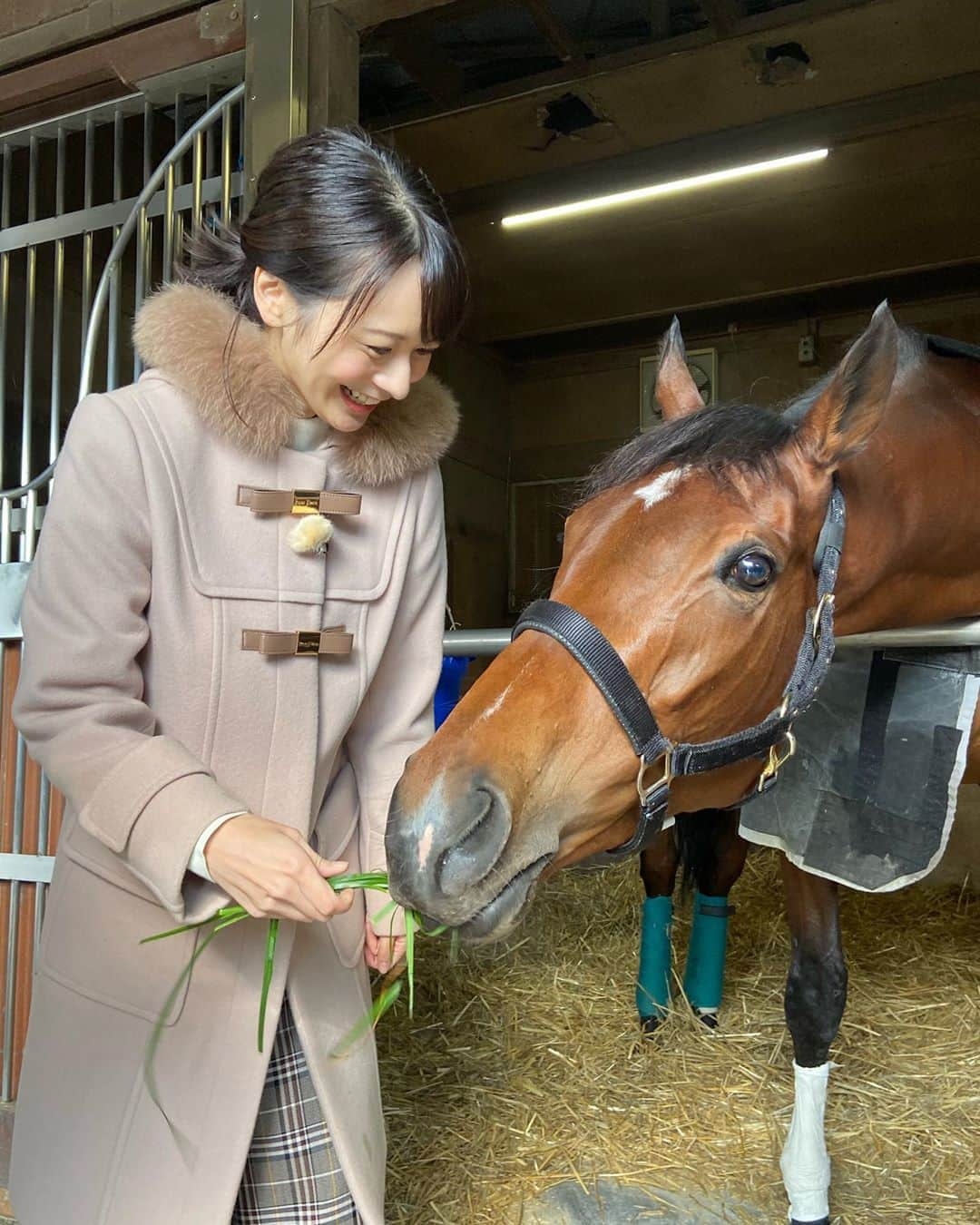 高見侑里さんのインスタグラム写真 - (高見侑里Instagram)「◡̈♥︎﻿ #有馬記念 に出走予定の#アーモンドアイ に会わせていただきました🐴♡﻿ ﻿ このようなすてきな機会をいただき、感謝の気持ちでいっぱいです！！﻿ ﻿ この模様は今週土曜日12/21にBS11競馬中継サタデー第２部で放送予定ですので、ぜひご覧ください♡﻿ *﻿ コート…#RoseTiara﻿ トップス＆パンツ…#EUCLAID」12月18日 17時16分 - yuri_takami_official