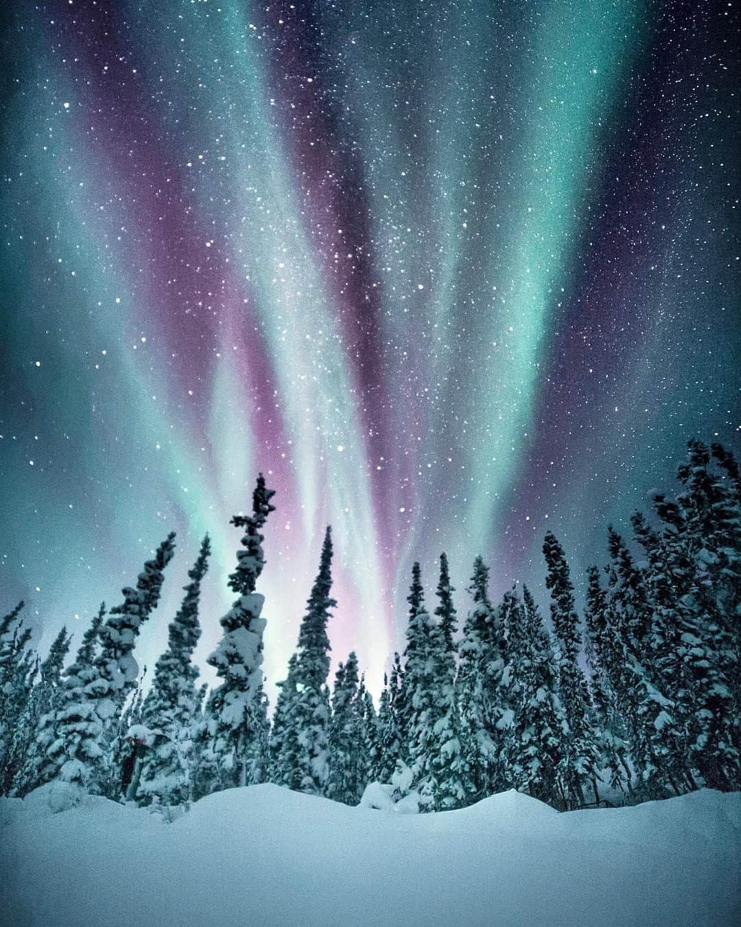 JALさんのインスタグラム写真 - (JALInstagram)「. #DramaticDecember From late November until early April, Yellowknife in Canada's Northwest Territories is one of the best places to view the aurora borealis👀  イエローナイフは世界屈指のオーロラ遭遇率✨ 4月上旬までがシーズンです🌈 . . photo by @dreamingandwandering Post your memories with #FlyJAL  #JapanAirlines #canada #yellowknife #aurora #wintermagic」12月18日 17時29分 - japanairlines_jal