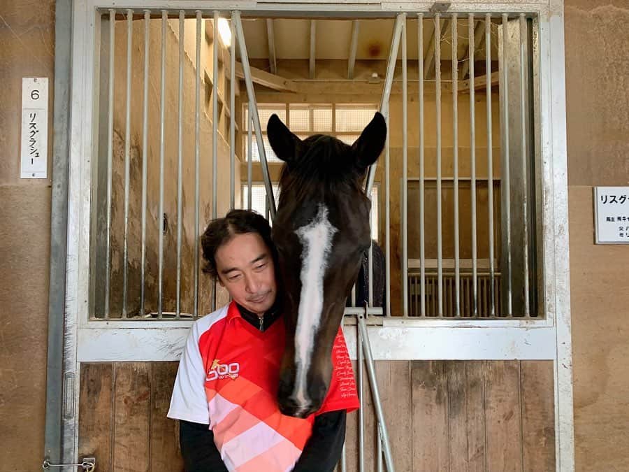 國嶋絢香さんのインスタグラム写真 - (國嶋絢香Instagram)「久しぶりの投稿✔️ 最近は、ストーリーばかりになっていました😶💭 . 今週は、#有馬記念 🏇✨ G1馬11頭が出走する豪華すぎるメンバーで行われます💗 . そんな中から、G1 3勝 今回がラストランとなる #リスグラシュー に会ってきました♪ . 初めて取材させて頂いた時から、担当の北口さんとリスグラシューのコンビが大好きで、久しぶりにお会い出来て嬉しすぎたのと、あぁ…トレセンでこの2人の戯れあう姿を見るのも最後かと思うとインタビュー中にも関わらず自然とうるうるしてしまいました🥺🥺 . 写真2枚目、仲良し具合が凄く伝わるお写真。 いつもぴっとりくっついてるんです🥺 たまらん🥺💗💗 . 今週の #トレセンまるごと情報局 有馬記念の出走馬全頭取材しています🎤✨ ぜひ、馬券の参考にしてくださいね😉🎶 . ❤️❤️❤️」12月18日 17時41分 - ayakakunishima