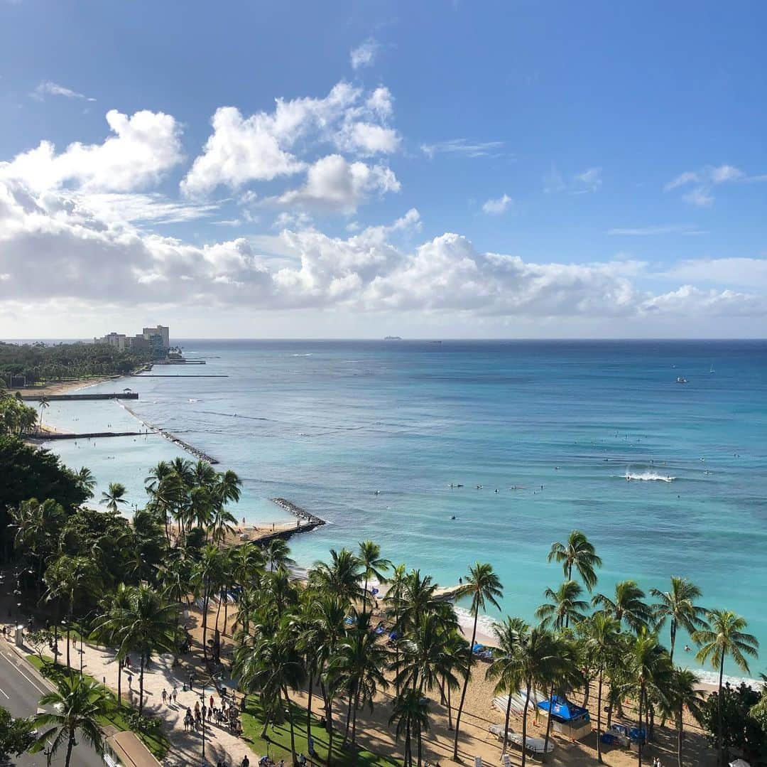 川原弘之さんのインスタグラム写真 - (川原弘之Instagram)「優勝旅行に行かせていただきました^ ^ 初ハワイ、素敵な思い出となりました！ 来年はチームの勝利、優勝に貢献してまた来年優勝旅行に参加したいと思います(^^) #hawaii  #優勝旅行 #全然優勝に貢献してないけど #来年こそは活躍する」12月18日 18時22分 - 63hiroyukikawahara