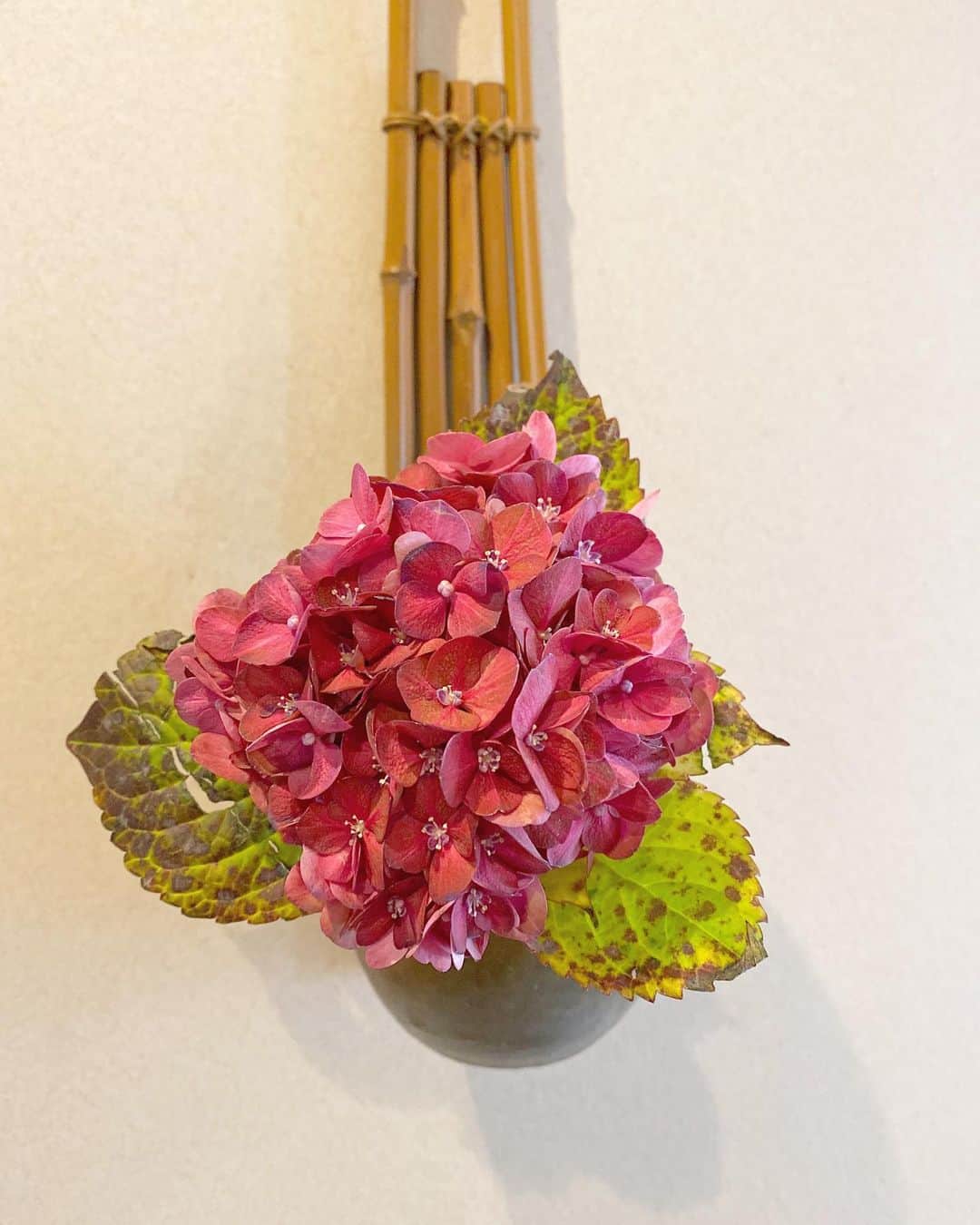 祥吉のグルメインスタ