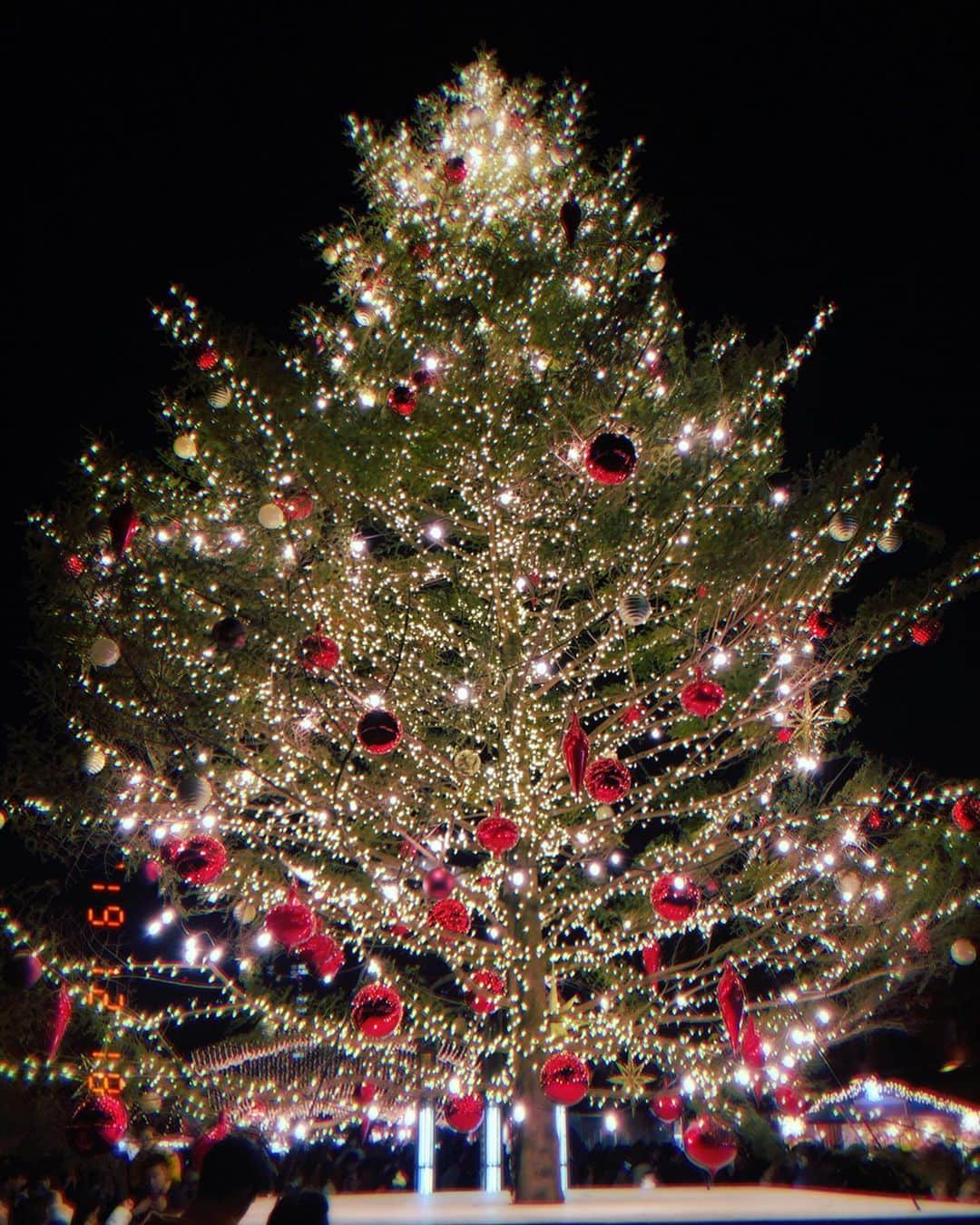 平アスカさんのインスタグラム写真 - (平アスカInstagram)「. もうすぐクリスマスだね🎄🎅🏽 赤レンガ倉庫にあるツリーがわっぜ綺麗だった、、🥰✨ クリスマスなんてもうあっとゆう間にすぎてすーぐお正月が来ちゃうからいまのうちにクリスマス感味わっとこう‼️😆 #もうすぐクリスマス　#christmas #赤レンガ倉庫」12月18日 18時33分 - asucataira