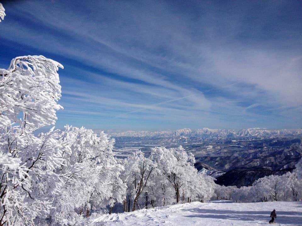 呉屋ありささんのインスタグラム写真 - (呉屋ありさInstagram)「. 大好きな季節❄️ . 待ってました！！ . 年末は北海道でボード三昧🏂のはずが、まさかの雪不足😳 狙ってるゲレンデが営業してない事件🙌そんな事ありますか？ . 久しぶりにキロロいきたい。ニセコ...orz . 実は私1人でも行くくらいボードが好きなんす。 お願いします🌨雪ください⛄️☃️☃️❄️ . . それまで仕事頑張るぞー!! . . #snow#snowpark#snowboard #snowboarding #lovesnow#white#powdersnow #powder #sport#sportster #スノーボード#ボーダー #パウダースノー#新雪#シーズン来た#山好き#スポーツ#ボード女子#キッカー#パーク#北海道#でっかいどー#ニセコ#キロロ#せいこ実家#ボード合宿#ボードやらせて#北見#女満別 #オホーツク海」12月18日 18時39分 - arisa_goya