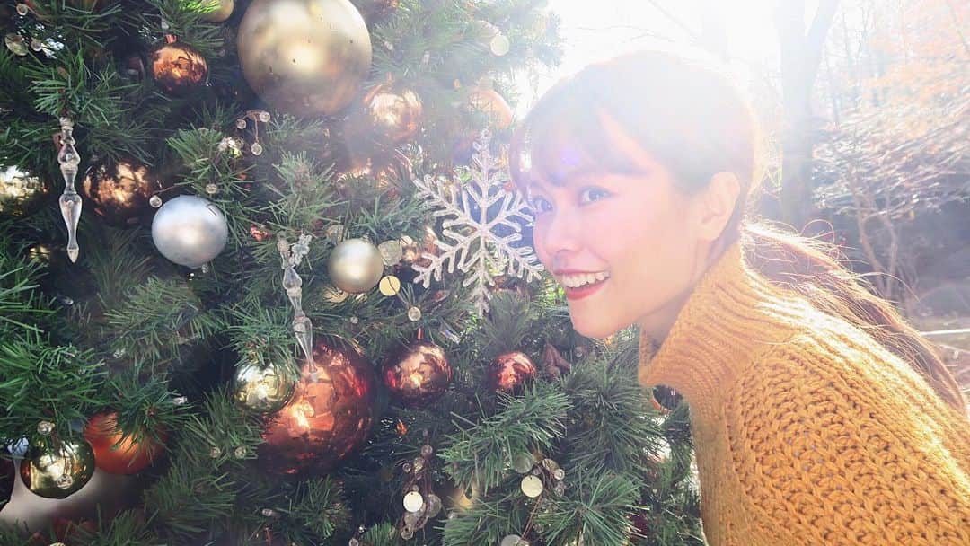 MiracleVellMagicのインスタグラム：「The whole month of December feels like Christmas. 🎄✨ クリスマス。本当は1日のイベントだけど(イヴを入れたら2日！)、毎年12月はまるごとクリスマスのような気分！ . 今年はいろんな人との予定がてんこもり。スキンケア増し増しで、楽しみにしとこ☺️ . #vellymerrychristmas #christmas #christmastree #クリスマス #クリスマスツリー」