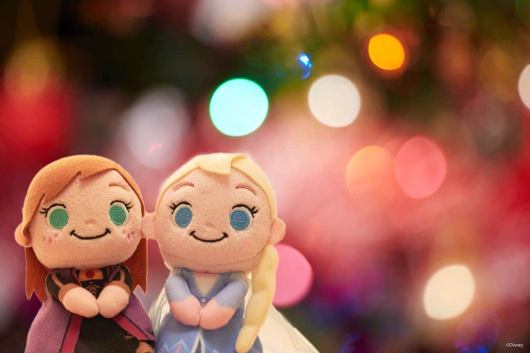 ちょっこりさん【公式】のインスタグラム：「#20191218 * きれいな景色にうっとり・・ クリスマスがまちどおしいね！ * #ちょっこりさん #ディズニー#ディズニーグッズ #ぬい撮り#ぬいぐるみ #chokkorisan#disney #takaratomyarts #ぬいぐるみと撮り隊 #disney写真部 #ディズニーグッズ #ちょっこりさん好きな人とつながりたい」