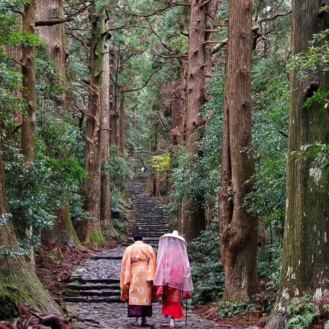 Visit Wakayamaさんのインスタグラム写真 - (Visit WakayamaInstagram)「.⠀ Daimon-zaka's towering cedars and paved paths have been walked by pilgrims for thousands of years. ⠀ Step back in time on this #Kumano Kodo pilgrimage route. ⠀ 📸: @inuhiko」12月18日 19時00分 - visitwakayama
