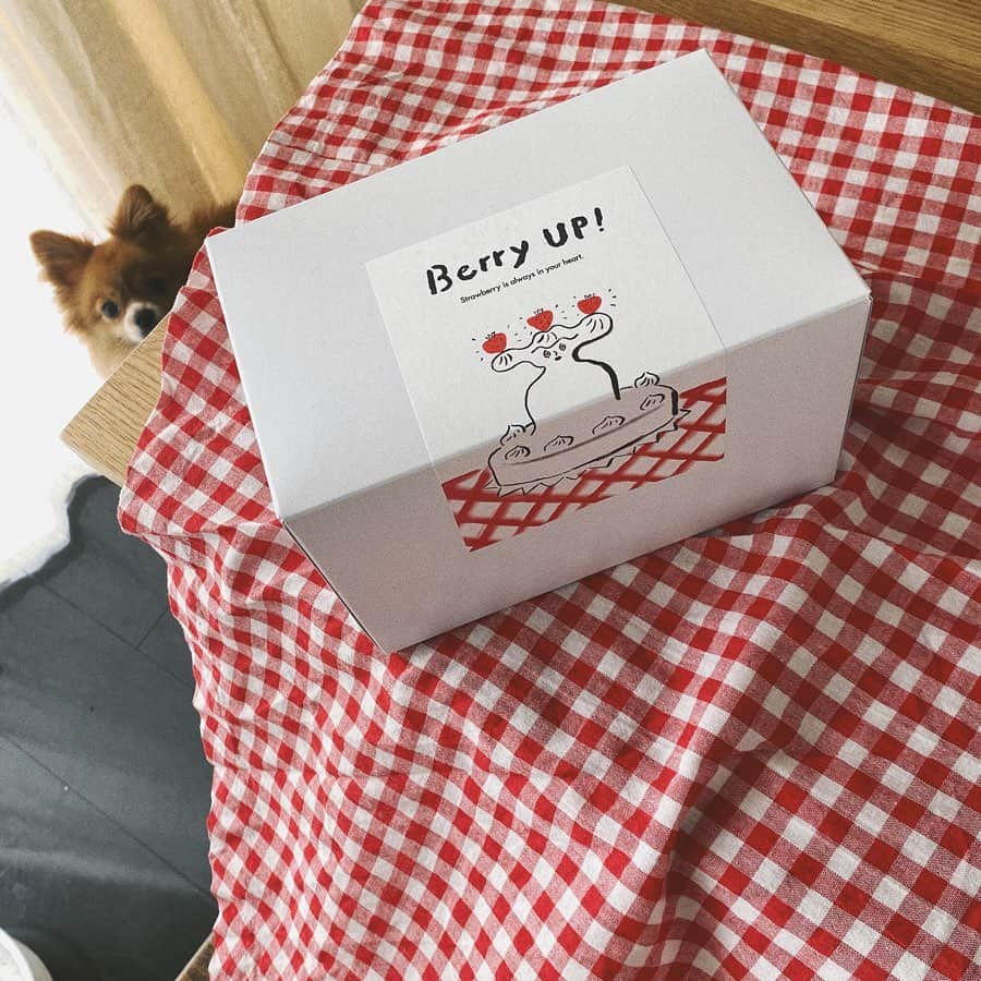 村田倫子さんのインスタグラム写真 - (村田倫子Instagram)「Berry up ！🍓 パケから愛しいスイーツ。 今日のおやつは何にしようか考えるときが至福。  #食べりんログ  最近、食べ物の写真しか撮ってないなあ。あとむぎ。 このケーキは昨日、 @zoff_eyewear さんがお土産にくれたのです。うれしい。どタイプ。」12月18日 19時30分 - rinco1023