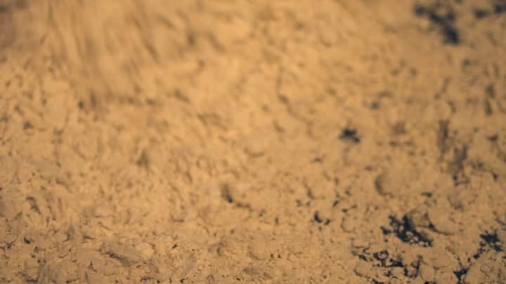 ハミルのグルメインスタ