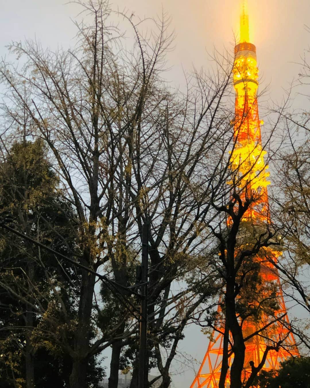 光石研のインスタグラム：「昨日今日はこんな夜✌️ お疲れ様でーす✌️ 【by 光石】」