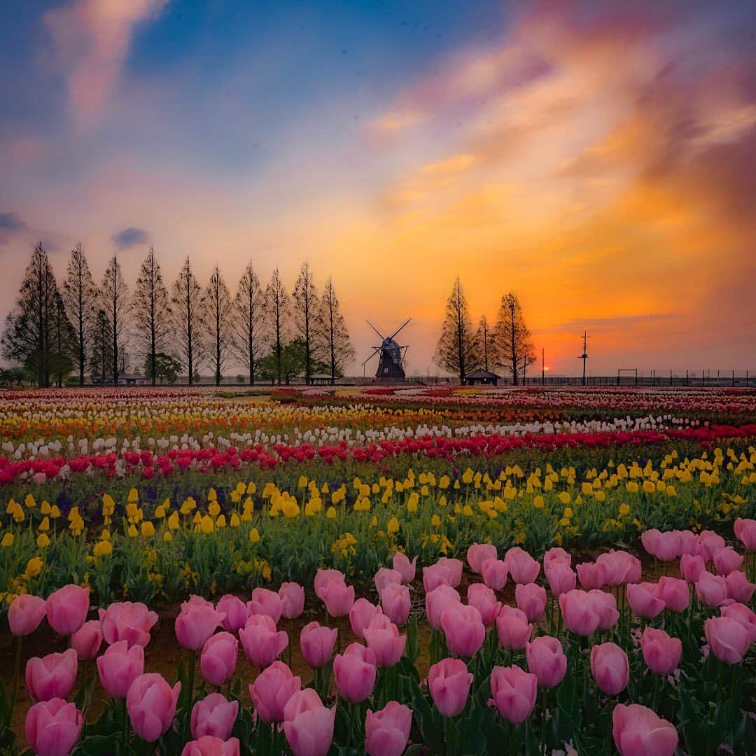 ❤?❤❤❤ Sayo ??❤?❤️❤️❤️のグルメインスタ