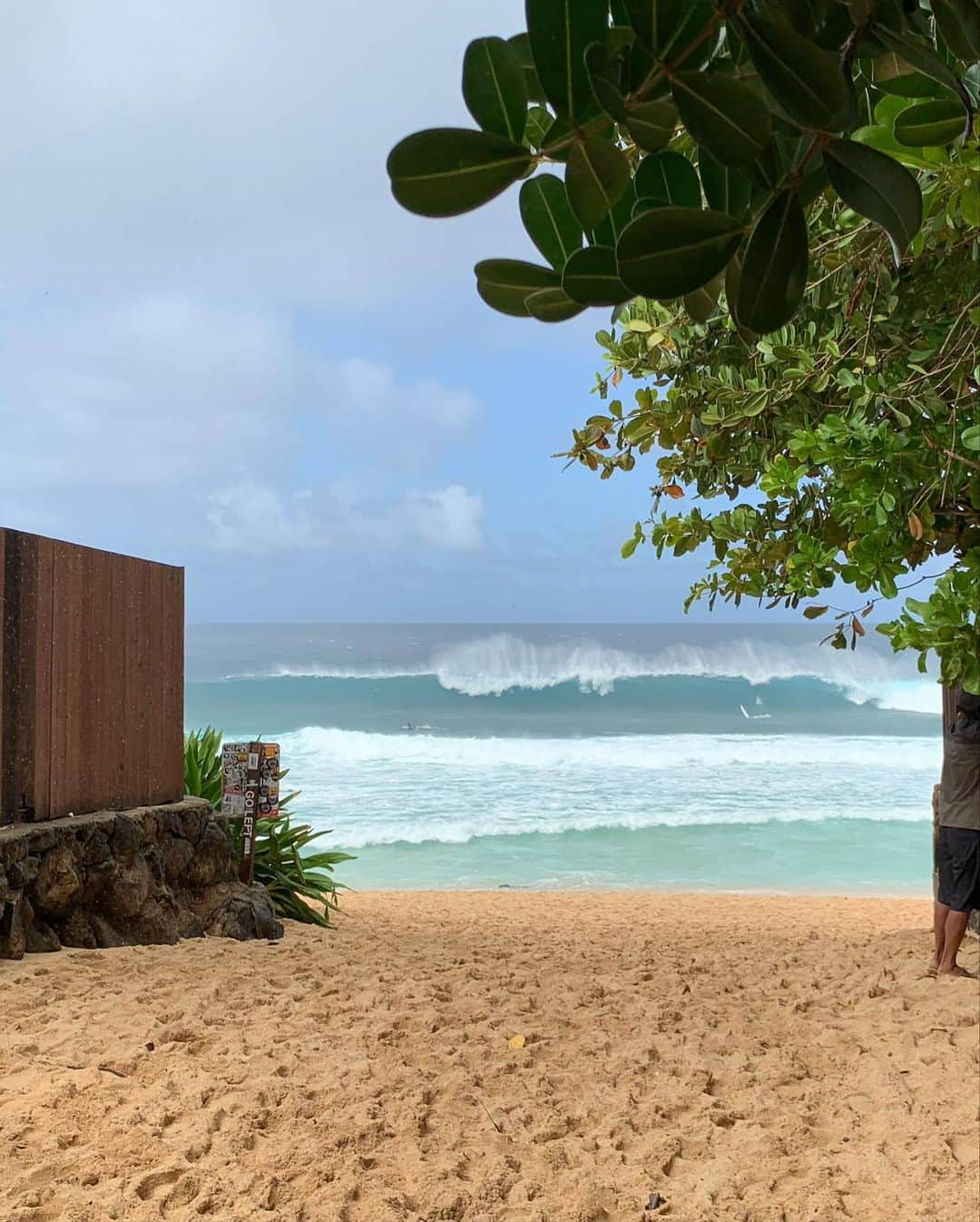 三浦理志さんのインスタグラム写真 - (三浦理志Instagram)「PIPELINE MASTERS 見れなかった〜😭 #pipeline #pipelinemasters #northshore #hawaii」12月18日 20時59分 - mar4m