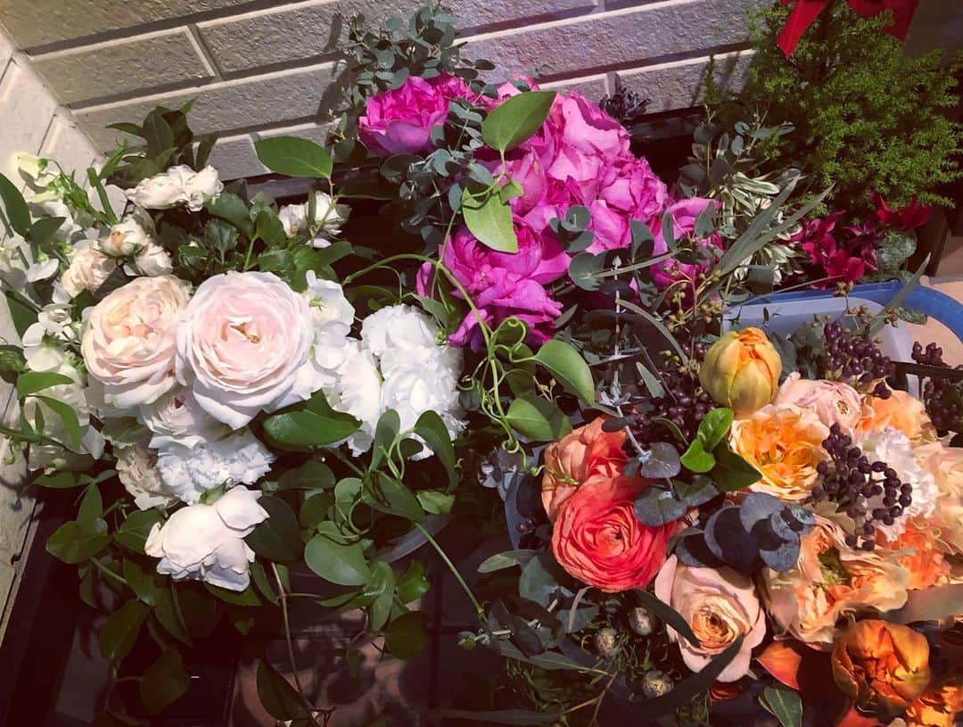 加藤響子さんのインスタグラム写真 - (加藤響子Instagram)「我が家の玄関💐 こんな華やかな色合いになっております🙆‍♀️ 寒い中でもパッと明るい気持ちにしてくれます。 ３つのブーケが重なっているのですが、中でもお気に入りは白とうっすらピンクの入ったブーケ💕 ずーーっと咲いていてほしいなぁぁぁ #bouquet #rananculus #rose #ウーツェ」12月18日 21時06分 - katokyooooooooo