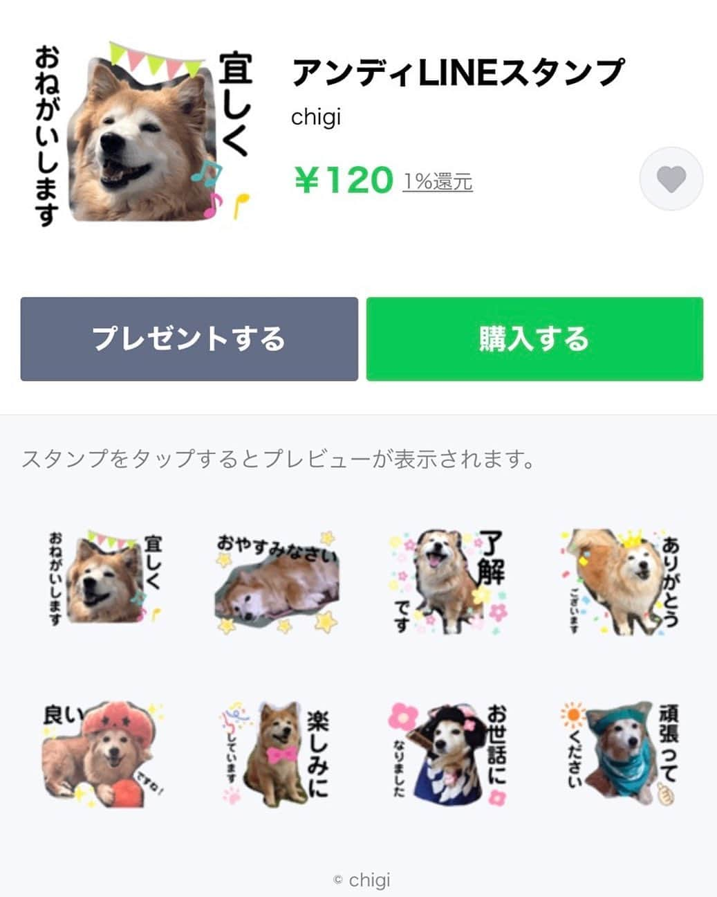 早霧せいなさんのインスタグラム写真 - (早霧せいなInstagram)「🐕アンディLINEスタンプ🐕 . #我が家の愛犬アンディ #13歳の女の子 #家族LINEで多用中😂 #ワタスの妹が子育ての合間に作製 #皆さんもよかったらどーぞー」12月18日 21時44分 - seinasagiri_official