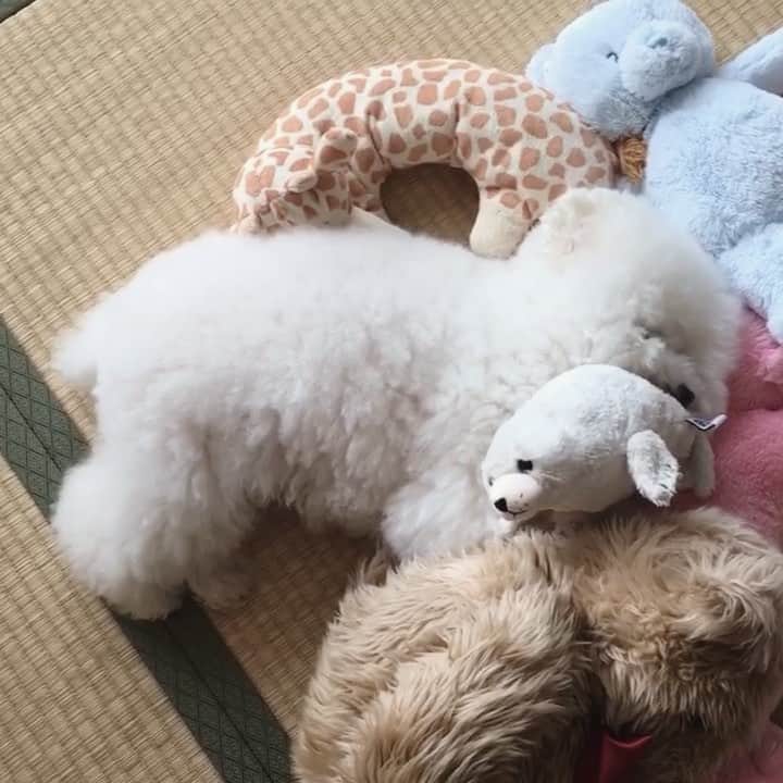 ゆうのインスタグラム：「. . おやすみ💋 Good night🌛 . . . .」