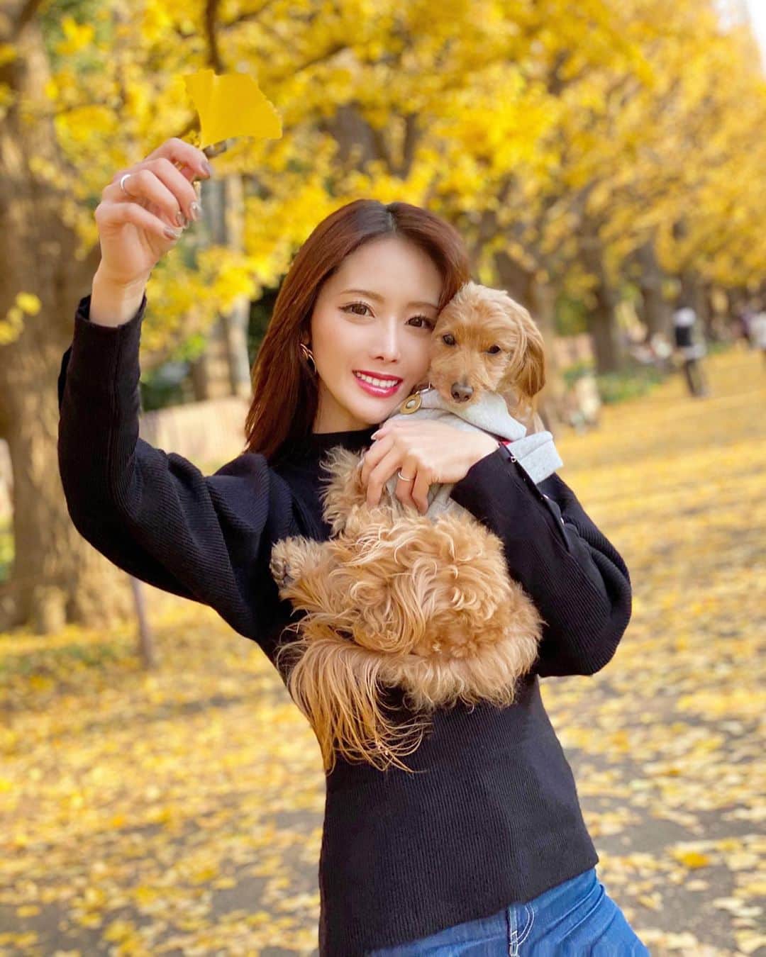 CHIHAさんのインスタグラム写真 - (CHIHAInstagram)「Happy  Birthday Teddy❤️﻿ 12/18💗5 years old﻿ ﻿ ﻿ これからもずっとずっと一緒❤️﻿ 大好き... @1218teddy ﻿ ﻿ ﻿ ﻿ ﻿ ﻿ supremeのお洋服は　@urbandogtokyo 🤙﻿ ﻿ ﻿ ﻿ #神宮銀杏並木　#銀杏　#銀杏並木 #イチョウ並木 #イチョウ　#神宮外苑いちょう並木 #愛犬 #ginkgo  #ginkgotree #japan #tokyo #ginkgoleaves #地元 #ダップー #dog #birthday」12月18日 22時22分 - chiha6170