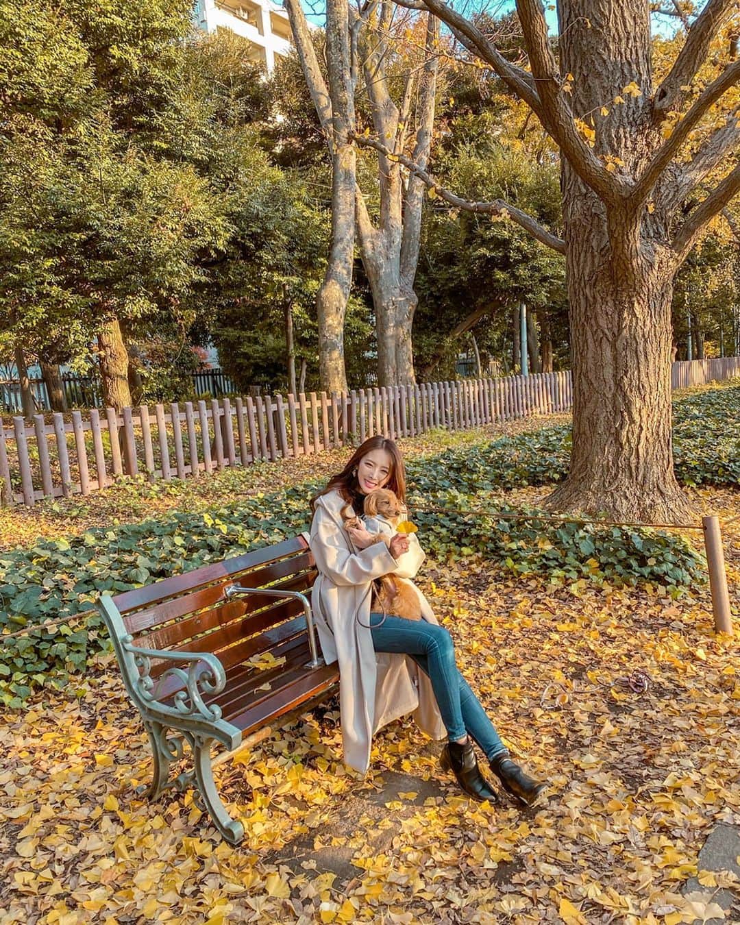 CHIHAさんのインスタグラム写真 - (CHIHAInstagram)「Happy  Birthday Teddy❤️﻿ 12/18💗5 years old﻿ ﻿ ﻿ これからもずっとずっと一緒❤️﻿ 大好き... @1218teddy ﻿ ﻿ ﻿ ﻿ ﻿ ﻿ supremeのお洋服は　@urbandogtokyo 🤙﻿ ﻿ ﻿ ﻿ #神宮銀杏並木　#銀杏　#銀杏並木 #イチョウ並木 #イチョウ　#神宮外苑いちょう並木 #愛犬 #ginkgo  #ginkgotree #japan #tokyo #ginkgoleaves #地元 #ダップー #dog #birthday」12月18日 22時22分 - chiha6170