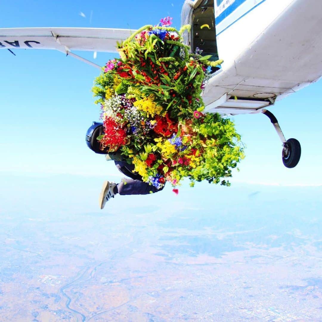 東信さんのインスタグラム写真 - (東信Instagram)「FLOWER AND MAN - Skydiver -  #azumamakoto #shiinokishunsuke #amkk #amkkproject #flowerandman #flowers #flowerart #東信 #東信花樹研究所 #makotoazuma #skydiver #skydiving」12月18日 22時18分 - azumamakoto