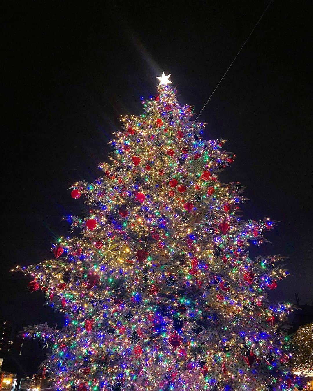 黒ユイさんのインスタグラム写真 - (黒ユイInstagram)「きれい。 ちょっと早めに#🎄 #🎅　気分  #クリスマスツリー #クリスマス #Christmas #Christmastree」12月18日 22時33分 - yui_my_life