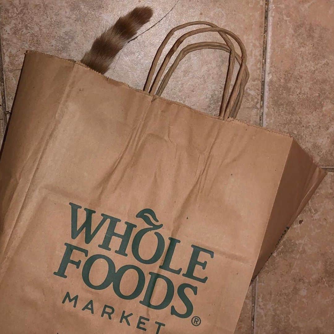 Whole Foods Marketさんのインスタグラム写真 - (Whole Foods MarketInstagram)「Caption this 📷: @shh_hes_sleeping」12月19日 8時06分 - wholefoods