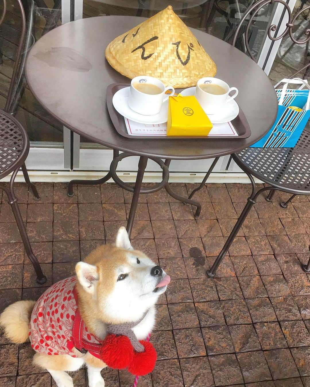 てんパパのグルメインスタ