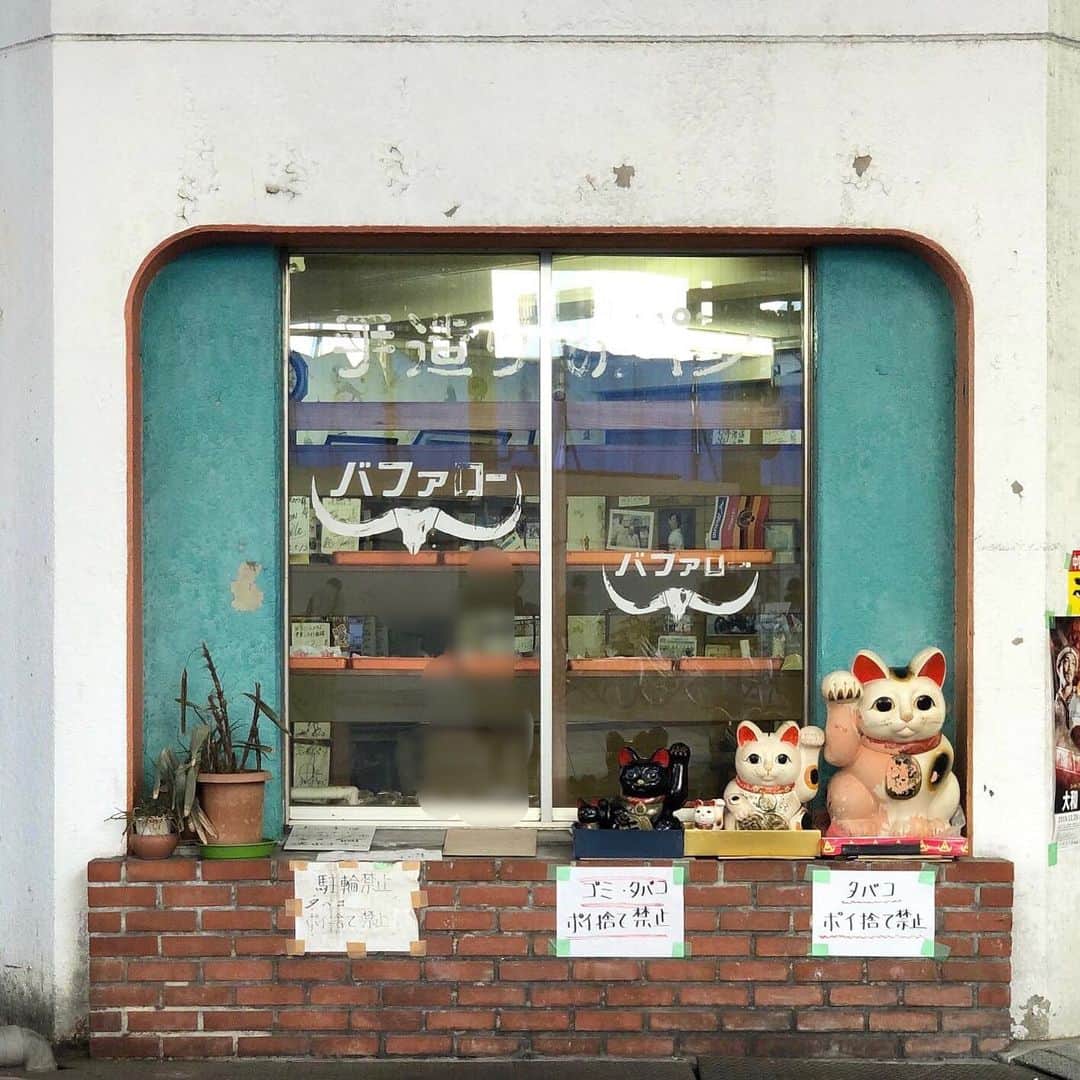 甲斐みのりさんのインスタグラム写真 - (甲斐みのりInstagram)「大須名物・岩瀬のカタパン。  #なごやのたからもの #地元パン手帖 #地元パン #地元パン地元パン」12月19日 9時11分 - minori_loule
