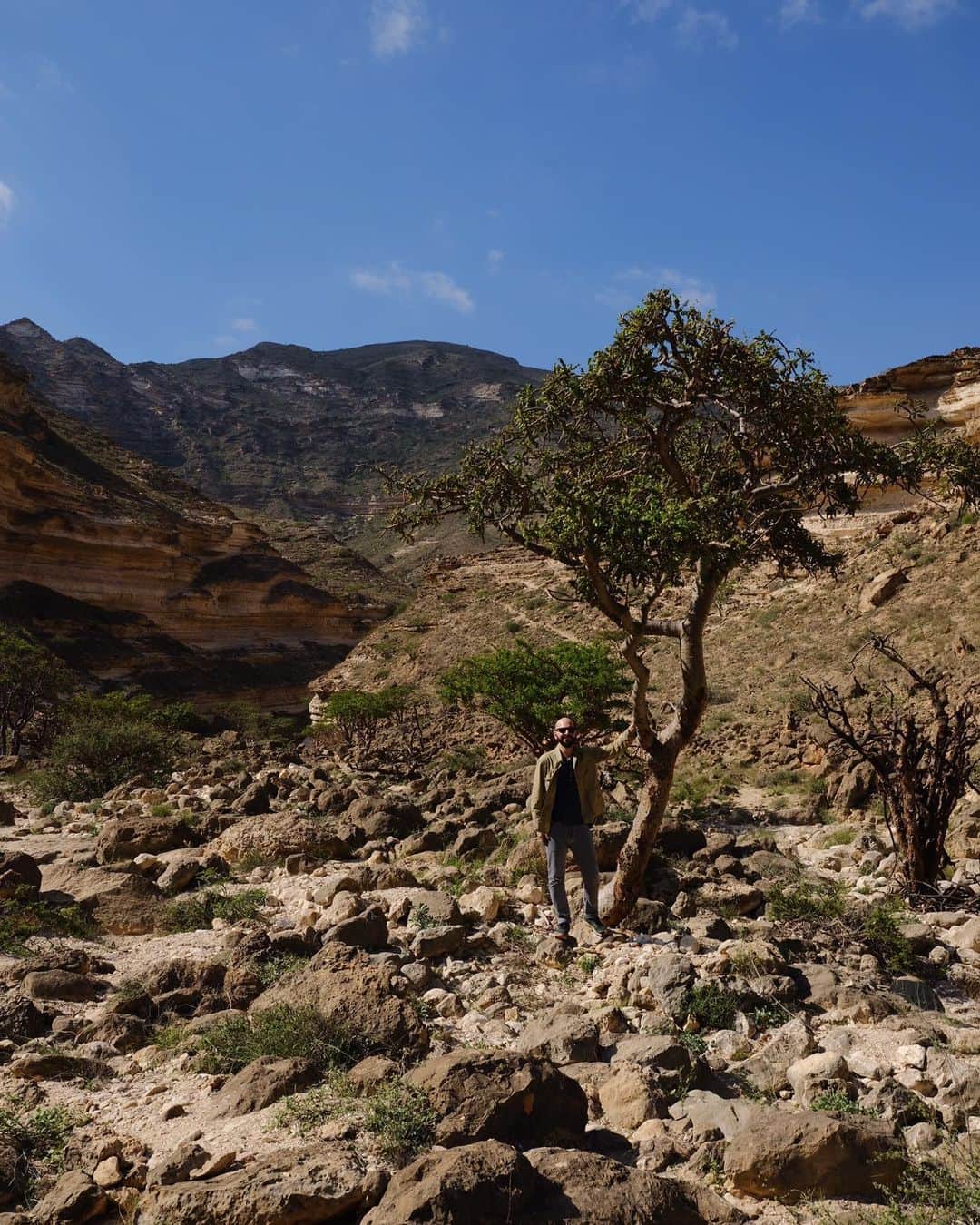 Fueguia 1833さんのインスタグラム写真 - (Fueguia 1833Instagram)「🇴🇲 Ashad, our man in Salalah to organized the plantation of sustainable frankincense oil from Boswellia sacra, the most mystical of humankind oils and only available in this spectacular land. #frankincense #olibanum #luban #boswelliasacra #fueguia @julinbedel #oman」12月19日 0時35分 - fueguia1833