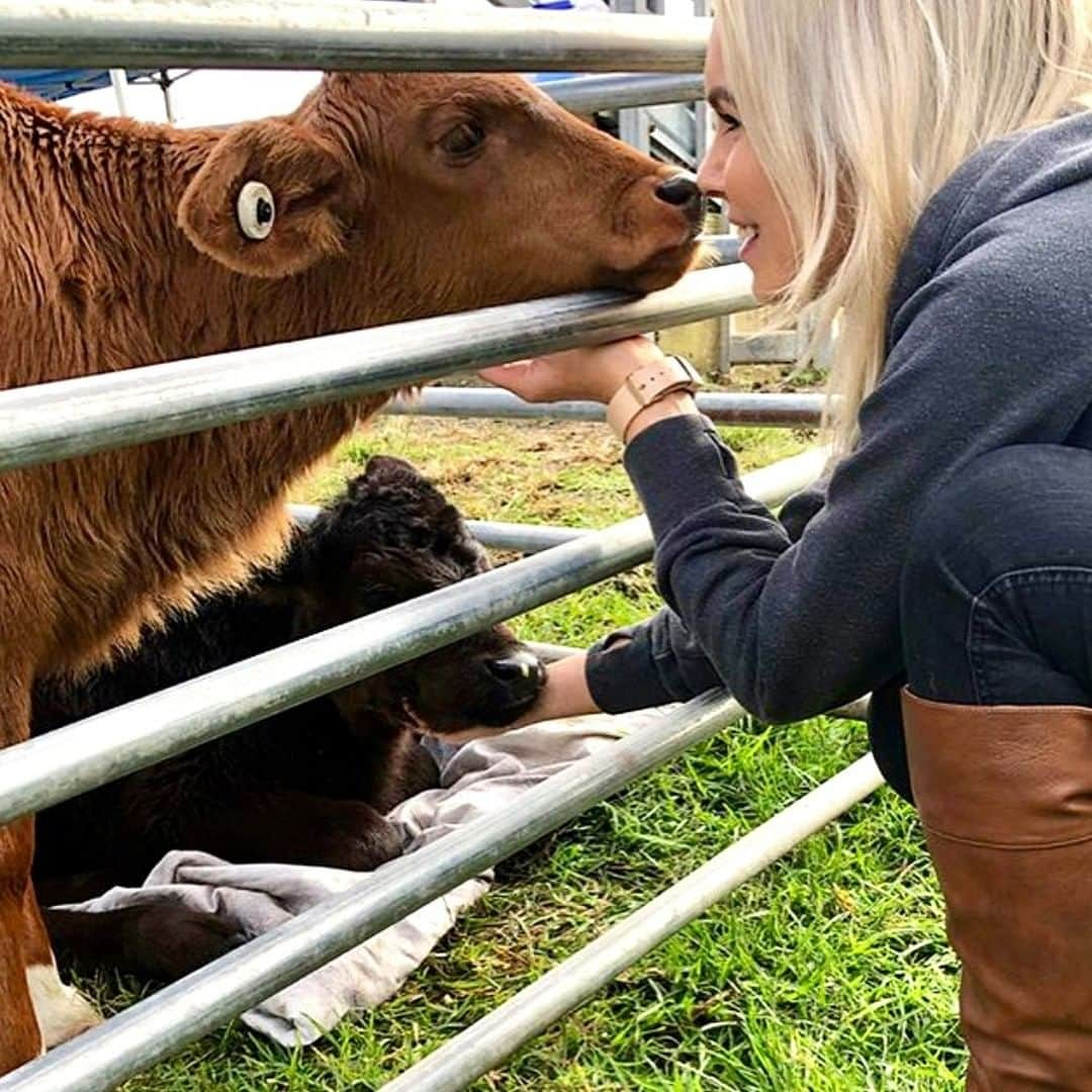 モービーさんのインスタグラム写真 - (モービーInstagram)「How a person responds to an innocent, vulnerable animal tells us everything about who they are. Pic @kirbyscalfrescue #veganforlife #animalrights」12月19日 1時00分 - moby