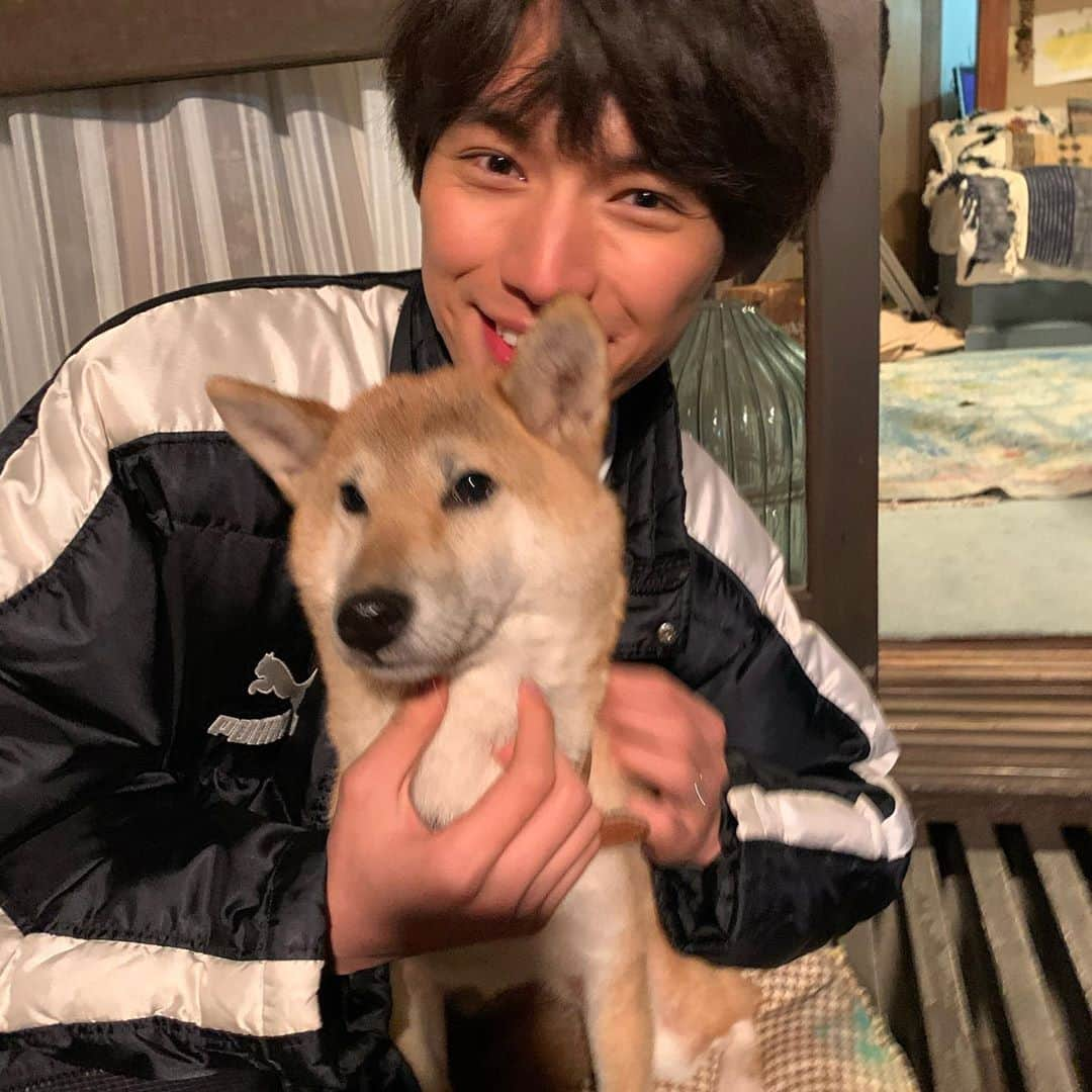 福士蒼汰さんのインスタグラム写真 - (福士蒼汰Instagram)「シロ〜」12月19日 1時16分 - fukushi_sota_official