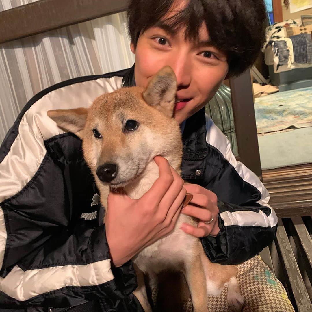 福士蒼汰さんのインスタグラム写真 - (福士蒼汰Instagram)「シロ〜」12月19日 1時16分 - fukushi_sota_official