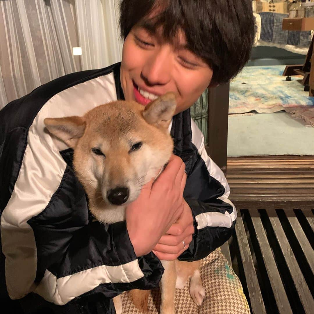 福士蒼汰さんのインスタグラム写真 - (福士蒼汰Instagram)「シロ〜」12月19日 1時16分 - fukushi_sota_official