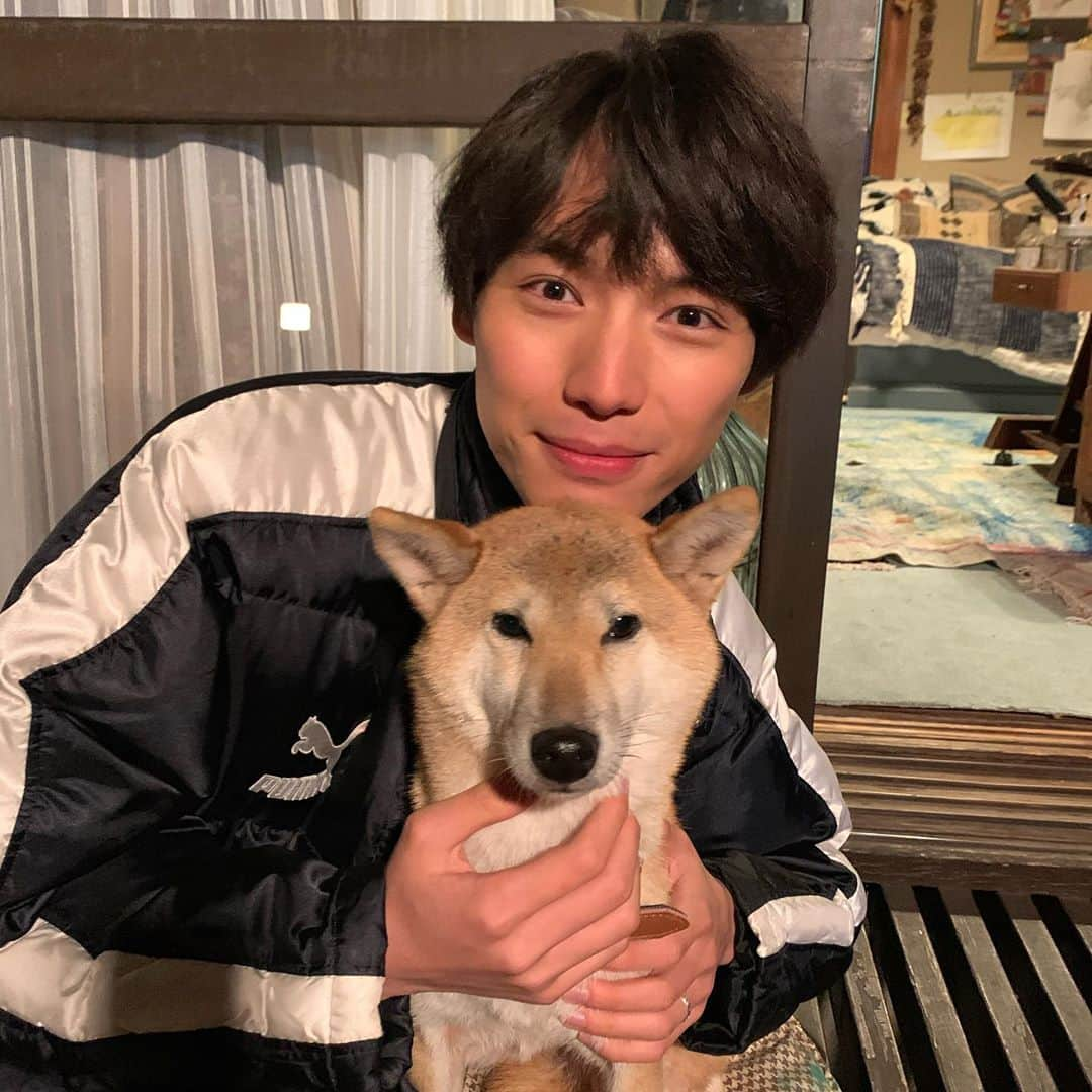 福士蒼汰さんのインスタグラム写真 - (福士蒼汰Instagram)「シロ〜」12月19日 1時16分 - fukushi_sota_official