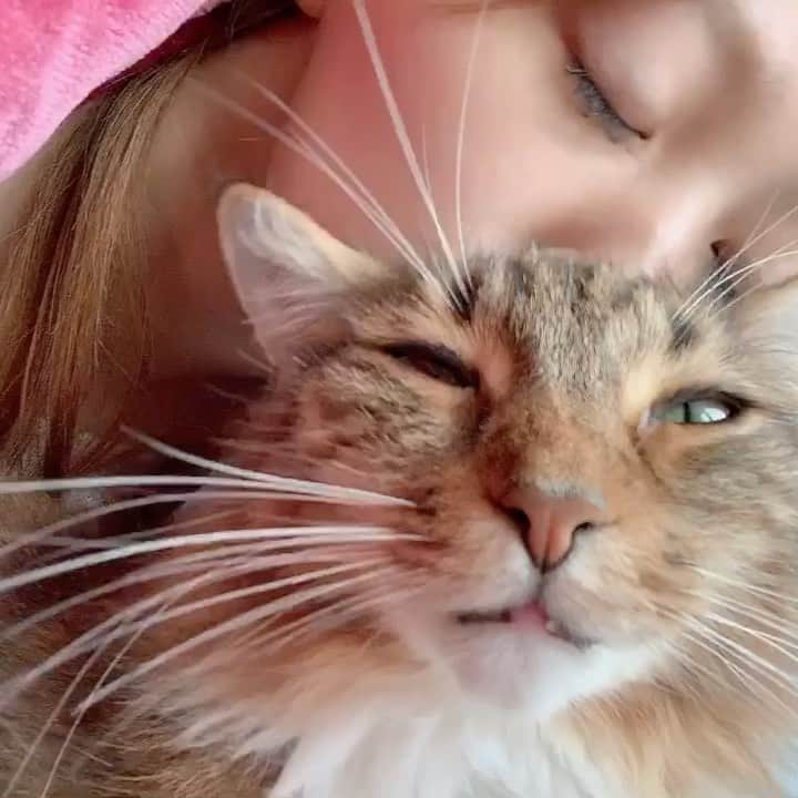 愛音まりあのインスタグラム