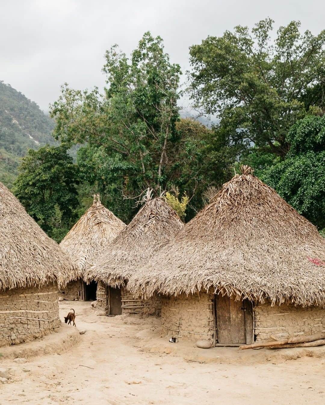 National Geographic Travelさんのインスタグラム写真 - (National Geographic TravelInstagram)「Photo by @kevinfaingnaert | Hidden in Colombia’s Sierra Nevada de Santa Marta, one of the world’s highest coastal mountain ranges, is an indigenous Kogi village. Its inhabitants speak distinct languages but share the belief that they are the guardians of the heart of the world.」12月19日 2時06分 - natgeotravel