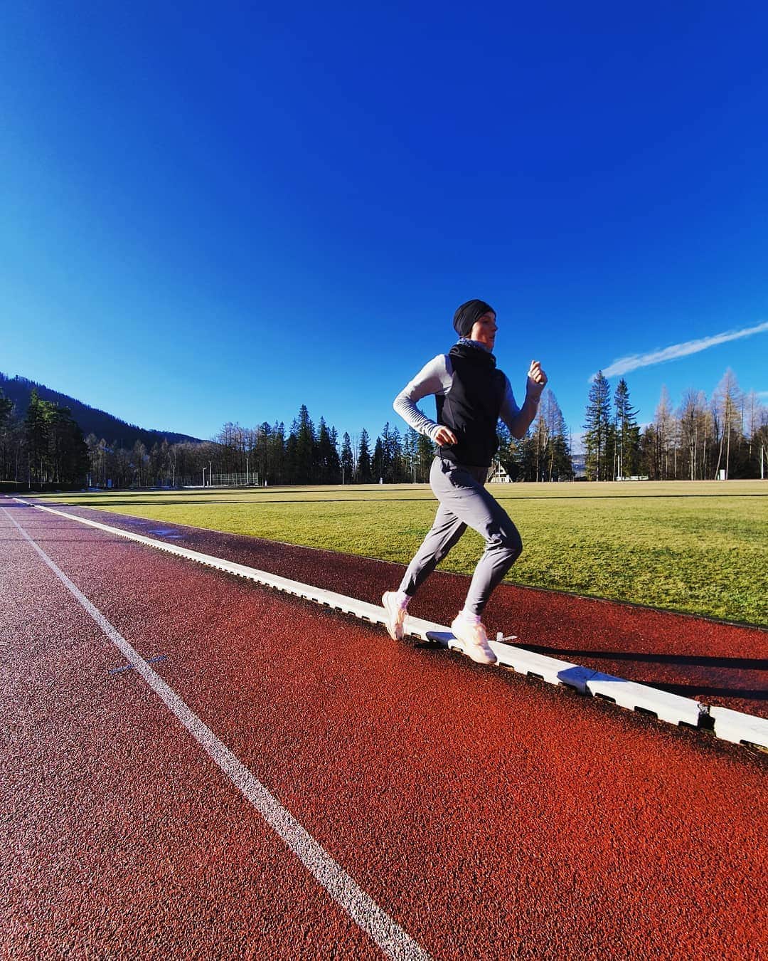 のインスタグラム：「Praca wre... 🐗 📸@moments.of.sport」