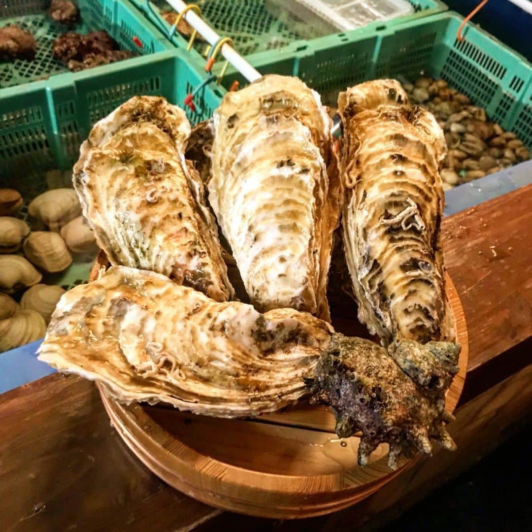 鶏魚 谷町のインスタグラム：「鶏魚です！しーちゃんです🎶 牡蠣の季節ですね*\(^o^)/* 生牡蠣はもちろん、牡蠣鍋もありますよ♡ #牡蠣の季節 #鍋料理 #鶏魚 #大阪 #谷町四丁目 #駅近 #セルフ飲み放題 #地域最安値 #コース #座敷 #個室 #貝盛り放題 #ガンガン焼き #あさり #はまぐり #ホンビノス貝 #牡蠣 #さざえ #飲み会 #女将」