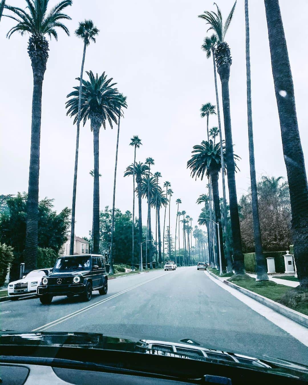 リアノン・ランゲラック（ミッチェル・ランゲラックの妻）のインスタグラム：「Never get sick of driving down these streets 🌴」
