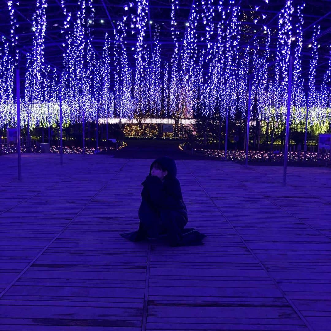 東城茉里さんのインスタグラム写真 - (東城茉里Instagram)「本当はこんな色なんだな  綺麗だね  #あしかがフラワーパーク #イルミネーション」12月19日 3時22分 - tojomari_